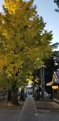 柴又八幡神社のその他建物