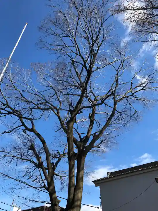 御劔神社の自然