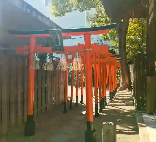 堀越神社(大阪府)