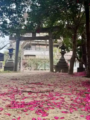 凉森神社の{uncategorized: "未分類", other: "その他", undefined: "問題あり", building: "その他建物", grave: "お墓", sacred_gate: "鳥居", guardian: "狛犬", statue: "像", buddha: "仏像", history: "歴史", nature: "自然", garden: "庭園", animal: "動物", pagoda: "塔", temizu: "手水舎", mountain_gate: "山門・神門", sanctuary: "本殿・本堂", subordinate: "末社・摂社", art: "芸術", scenery: "景色", jizo: "地蔵", ema: "絵馬", goshuin: "御朱印", omikuji: "おみくじ", items: "授与品その他", amulet: "お守り", goshuincho: "御朱印帳", eats: "食事", festival: "お祭り", votive_dance: "神楽", shichigosan: "七五三参", wedding: "結婚式", experience: "体験その他", initially: "初詣", around: "周辺", anti_infection: "感染症対策"}