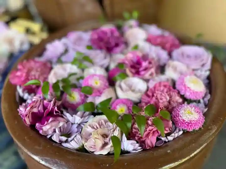 札幌護國神社の手水舎