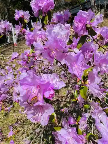 土津神社｜こどもと出世の神さま(福島県)