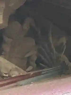 根神社(千葉県)