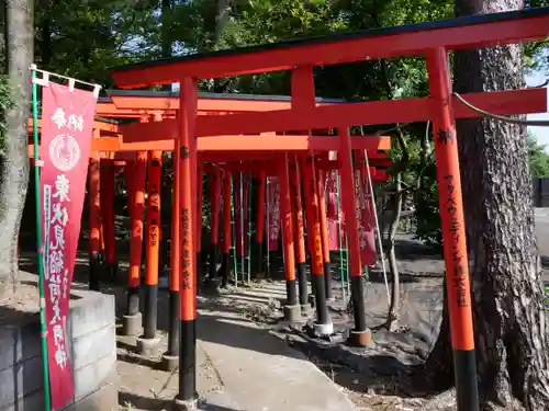 東伏見稲荷神社の鳥居