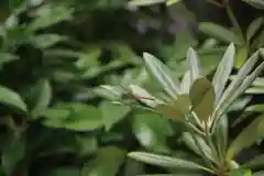 阿邪訶根神社(福島県)