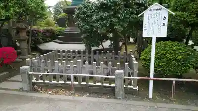 川崎大師（平間寺）(神奈川県)