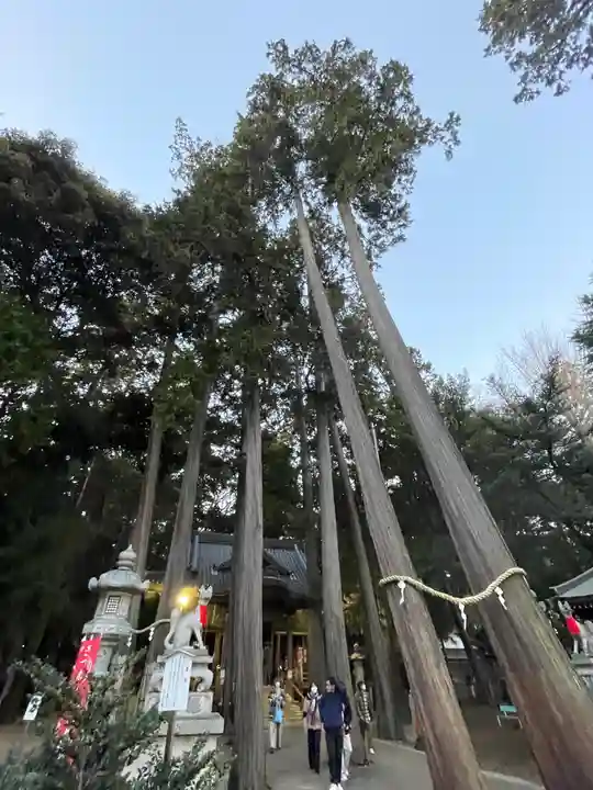 豊川閣 妙厳寺(愛知県)