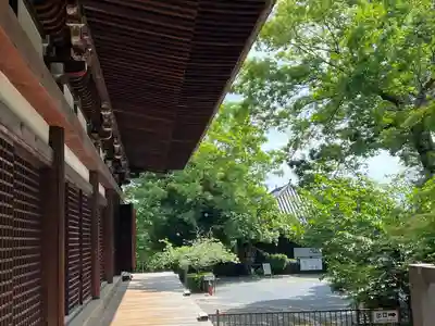 大報恩寺（千本釈迦堂）(京都府)