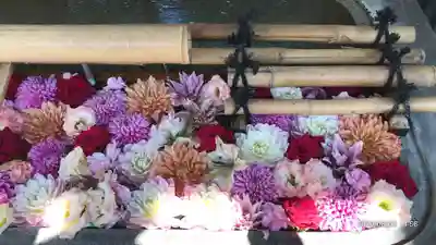 下谷神社の手水舎