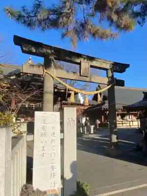 行田八幡神社の{uncategorized: "未分類", other: "その他", undefined: "問題あり", building: "その他建物", grave: "お墓", sacred_gate: "鳥居", guardian: "狛犬", statue: "像", buddha: "仏像", history: "歴史", nature: "自然", garden: "庭園", animal: "動物", pagoda: "塔", temizu: "手水舎", mountain_gate: "山門・神門", sanctuary: "本殿・本堂", subordinate: "末社・摂社", art: "芸術", scenery: "景色", jizo: "地蔵", ema: "絵馬", goshuin: "御朱印", omikuji: "おみくじ", items: "授与品その他", amulet: "お守り", goshuincho: "御朱印帳", eats: "食事", festival: "お祭り", votive_dance: "神楽", shichigosan: "七五三参", wedding: "結婚式", experience: "体験その他", initially: "初詣", around: "周辺", anti_infection: "感染症対策"}
