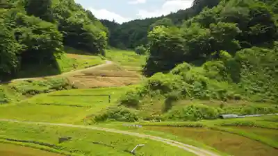 大杉神社の景色