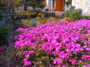 寿量山 速成寺(奈良県)(2023年04月03日(月) 12時47分07秒投稿)