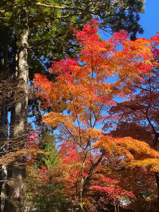 高野山大師教会(和歌山県)