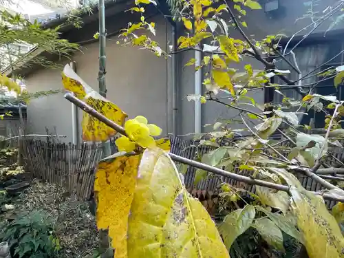 遠照山 光明寺（尼崎大仏）(兵庫県)