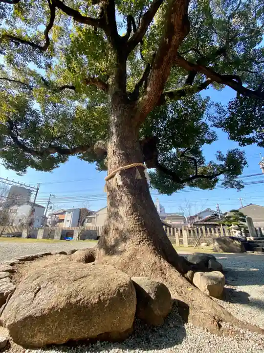 止止呂支比売命神社(大阪府)
