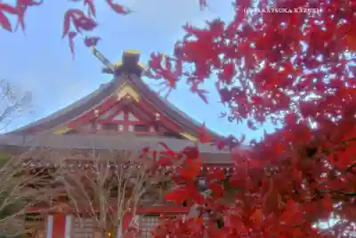 大山阿夫利神社(神奈川県)