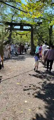 天鷹神社のお祭り