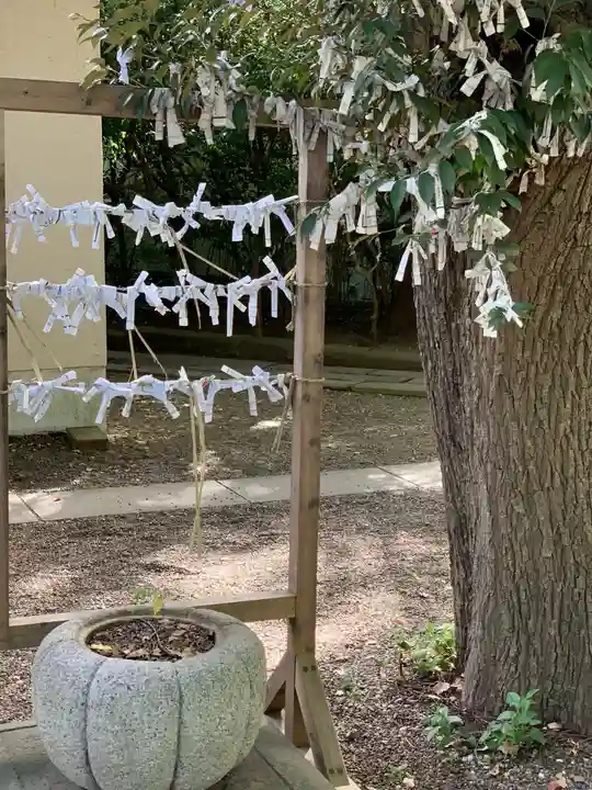 王子神社のおみくじ