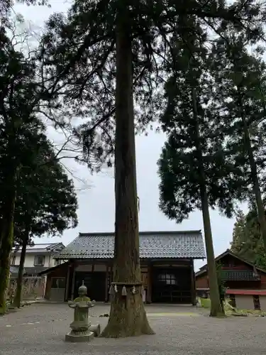 天日陰比咩神社(石川県)