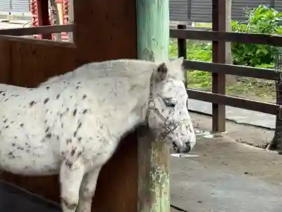 五方山熊野神社(東京都)