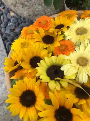 彌都加伎神社の手水舎