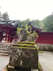 箱根神社の狛犬