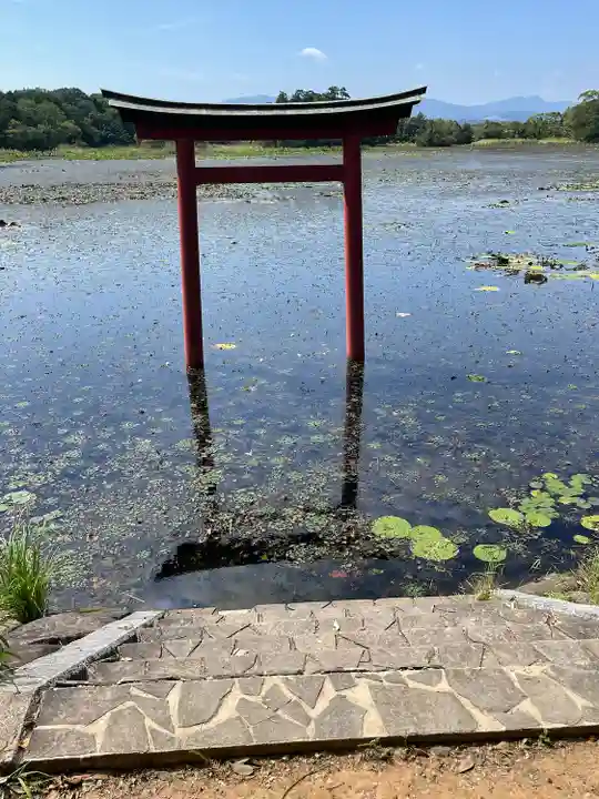 薦神社(大分県)