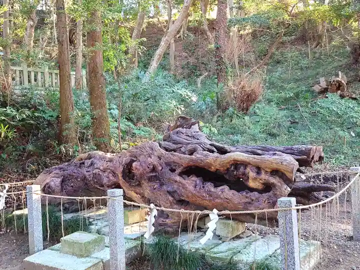 泉神社(茨城県)