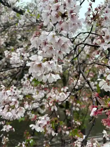 間々田八幡宮(栃木県)