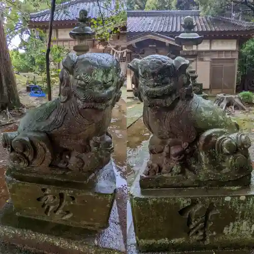 日枝神社の狛犬