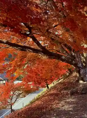 鶏足寺(滋賀県)