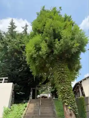 九重神社(埼玉県)