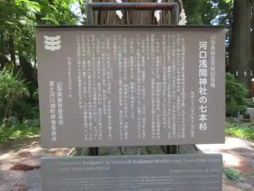 河口浅間神社の歴史