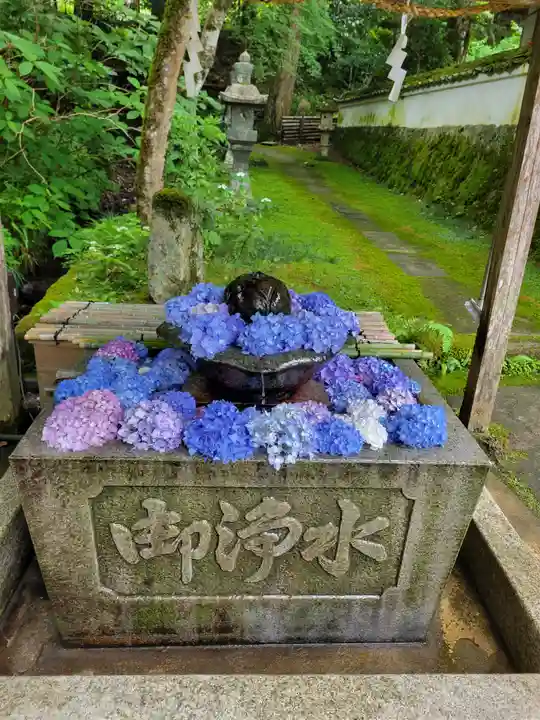 観音寺(京都府)