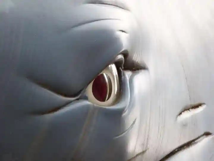 輪王寺両大師堂(寛永寺輪王殿)の周辺