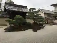観智院(東寺子院)の庭園