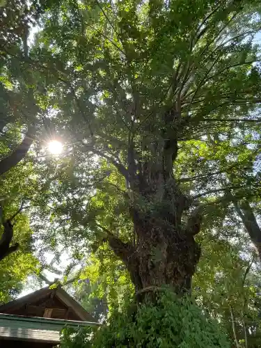 鞆江神社（明地）(愛知県)