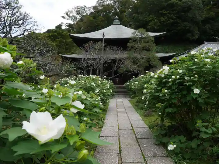 瑞泉寺のその他建物