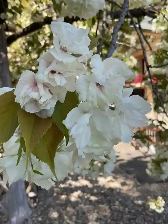 上地八幡宮(愛知県)