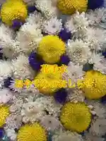 彌彦神社 (伊夜日子神社)の手水舎