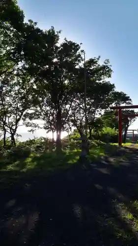 盃稲荷神社の自然