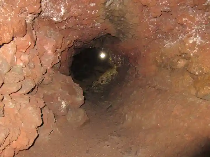 無戸室浅間神社(船津胎内神社)の自然