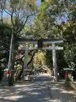 若宮八幡宮の{uncategorized: "未分類", other: "その他", undefined: "問題あり", building: "その他建物", grave: "お墓", sacred_gate: "鳥居", guardian: "狛犬", statue: "像", buddha: "仏像", history: "歴史", nature: "自然", garden: "庭園", animal: "動物", pagoda: "塔", temizu: "手水舎", mountain_gate: "山門・神門", sanctuary: "本殿・本堂", subordinate: "末社・摂社", art: "芸術", scenery: "景色", jizo: "地蔵", ema: "絵馬", goshuin: "御朱印", omikuji: "おみくじ", items: "授与品その他", amulet: "お守り", goshuincho: "御朱印帳", eats: "食事", festival: "お祭り", votive_dance: "神楽", shichigosan: "七五三参", wedding: "結婚式", experience: "体験その他", initially: "初詣", around: "周辺", anti_infection: "感染症対策"}