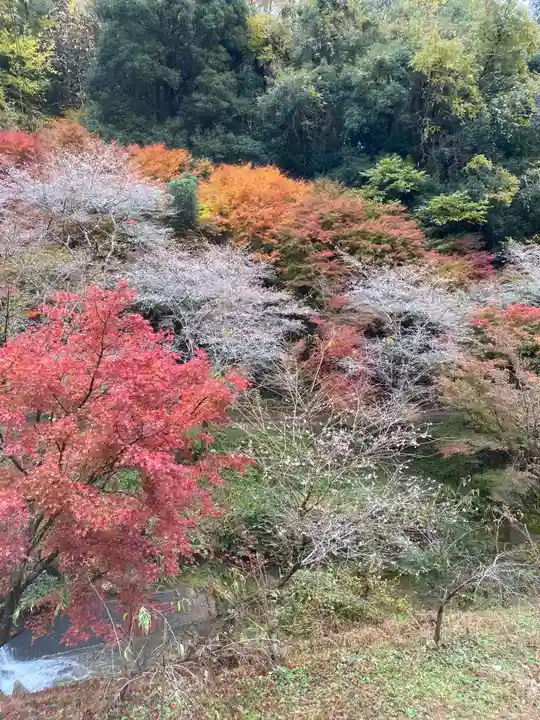 川見薬師寺(愛知県)
