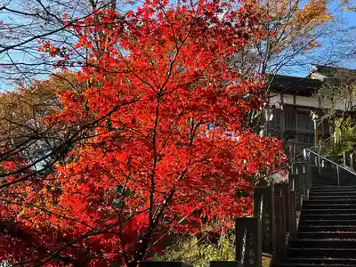 武蔵御嶽神社(東京都)