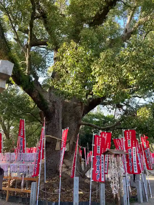 住吉大社の自然