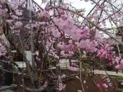 天暁山　一行院(東京都)