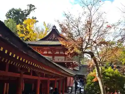 春日大社(奈良県)