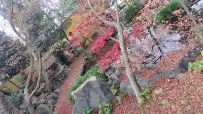 吉田神社(京都府)