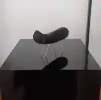 西方山極楽寺(岐阜県)